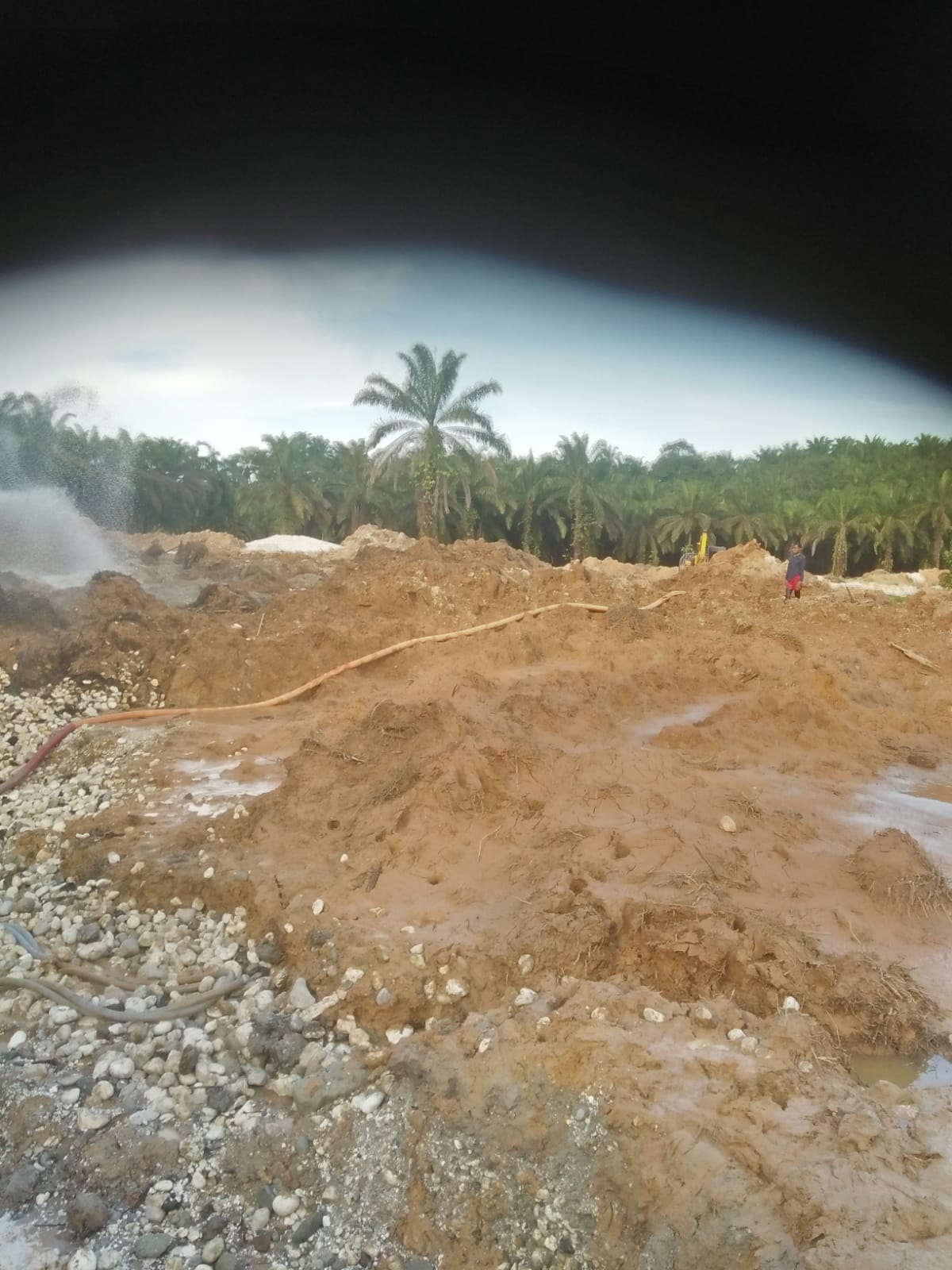 IMG-20250823-WA0030