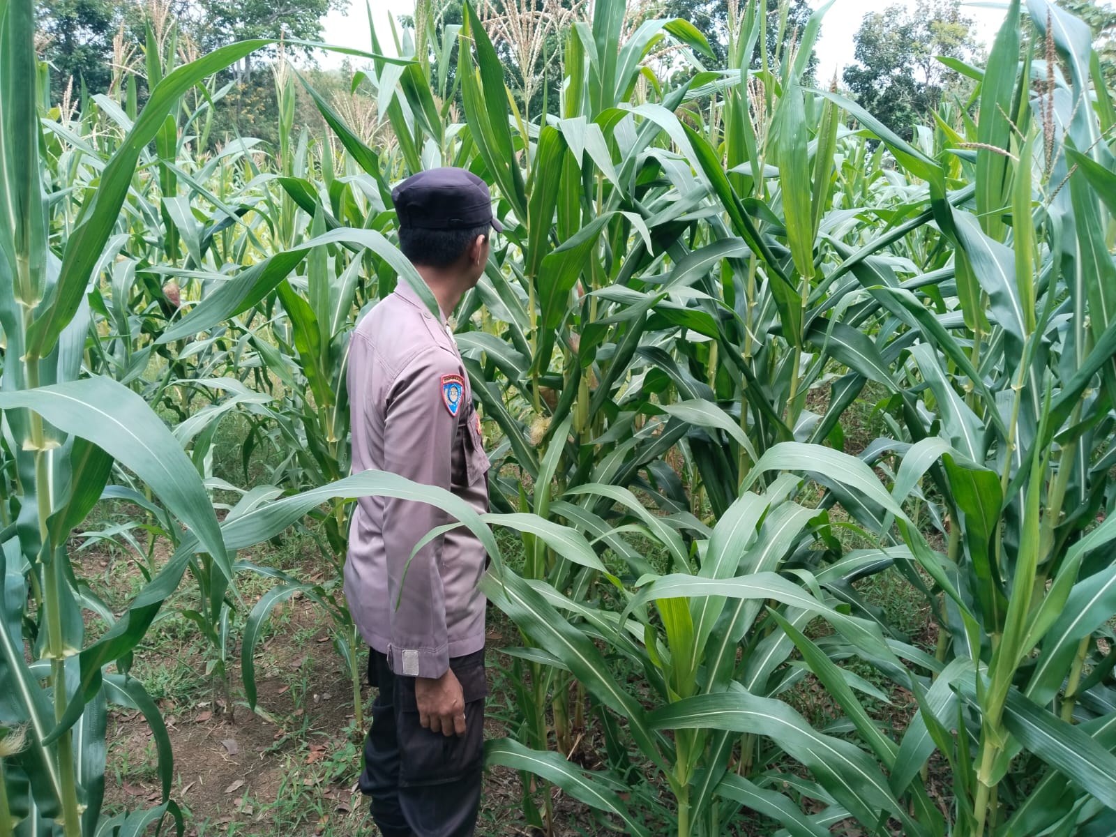 WhatsApp Image 2025-09-09 at 8.41.09 AM (1)