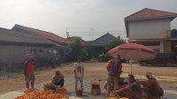 WhatsApp Image 2026-06-17 at 12.54.42
