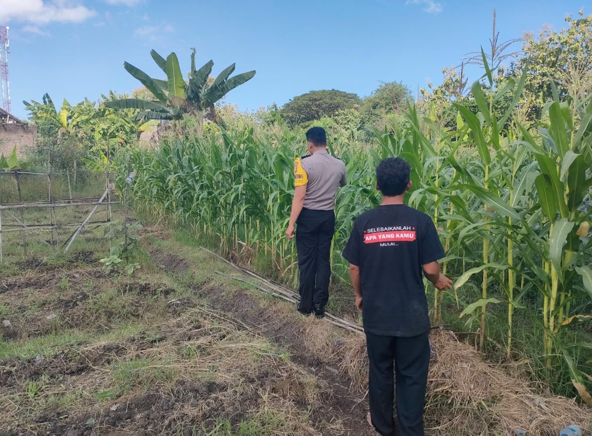 IMG-20260706-WA0006